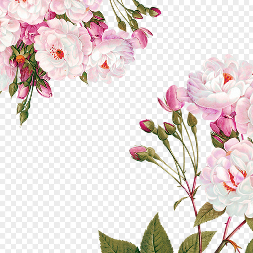 Flowers Decoration Material Centifolia Roses Paper Flower Garden Party PNG