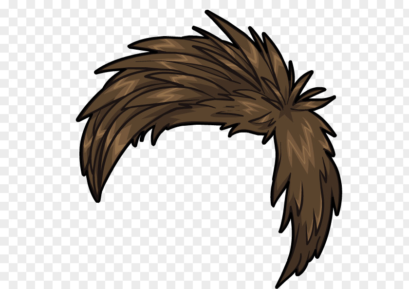 Penguin Club Hair Wig Feather PNG